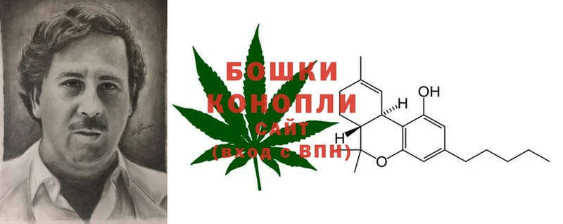 Канабис OG Kush  наркотики  Шимановск 